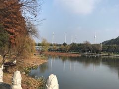 -月湖风景区