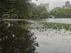 -荔湾湖公园