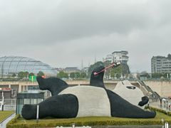 -都江堰中心国际酒店