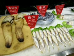 -宝燕壹号(徐汇店)