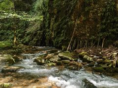 -五女峰国家森林公园