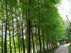 -新江湾城公园