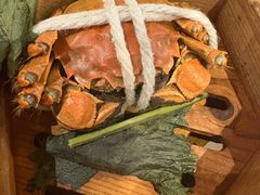 -熊猫自助餐厅.萌趣城堡(长隆熊猫酒店)