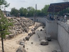 -太原动物园