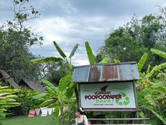 -大象粑粑造纸公园