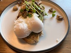 -Wagas沃歌斯(枫蓝国际店)