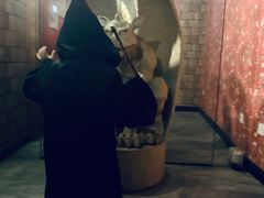 -逃脱反斗城沉浸剧情密室(北京路店)