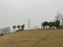 -金海湾滨江公园