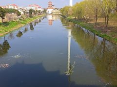 -奉贤海滩