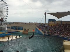 -秦皇岛乐岛海洋王国