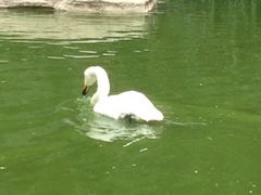 iphone_upload_pic-曲江惠宾苑宾馆(大雁塔大唐不夜城店)