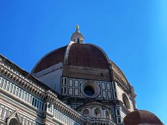 -圣母百花大教堂穹顶