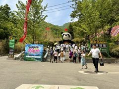 -栾川竹海野生动物园