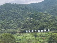 -虎啸峡漂流