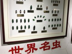 -上海昆虫博物馆