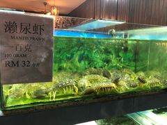 -真浪大家乐海鲜餐馆
