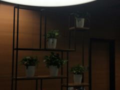 -麦当劳(杭州西湖银泰百货店)
