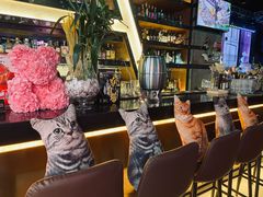 -Famous肥猫墨西哥音乐餐吧(五棵松华熙LIVE店)