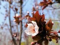 -永定河休闲森林公园