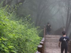 -陕西省红河谷森林公园