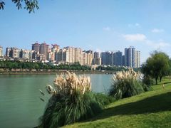 -眉山湿地公园(东坡区)