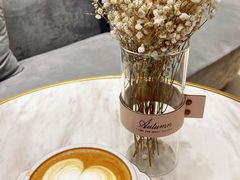 榛果拿铁-Foresee 梵晞(北美N1店)