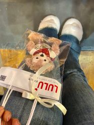 -LuLu玩具公社