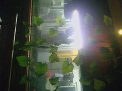 -木屋烧烤(白石洲店)