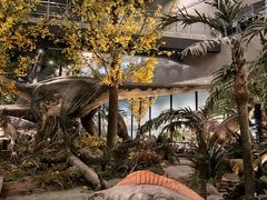 -湖南省地质博物馆