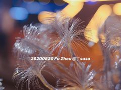 -闽江夜游台江旅游码头