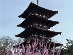 -北京世界公园