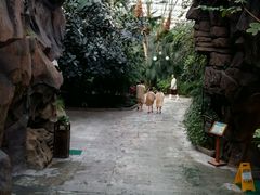 -龙达温泉生态城