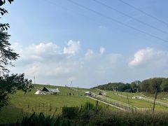 -佛手湖郊野公园