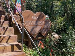 -金子山原生态旅游风景区