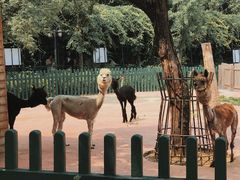 -无锡动物园·太湖欢乐园
