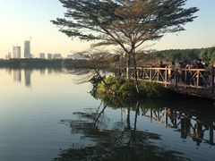 -海珠湖公园