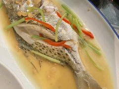 -吴记富苑(朝阳店)