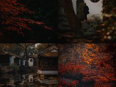 -秋霞圃