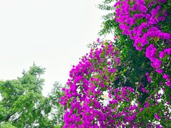 -大妙火锅·非物质文化遗产(东湖公园店)