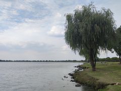 -漕湖湿地公园