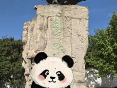 -北京鹫峰国家森林公园