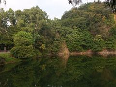 -王借岗森林公园