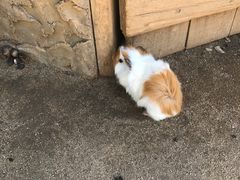 -卡塞拉自然公园