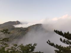 -六里坪国家森林公园