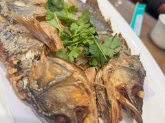 -春水锅贴·传统鲁菜(大明湖店)
