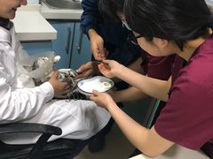 -瑞派·关忠动物医院(国瑞店)