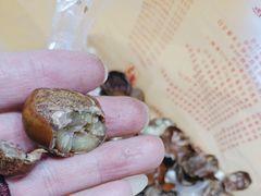 -小宝栗子(嘉华国际商业中心店)