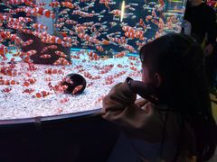 -海合安成都极地海洋公园