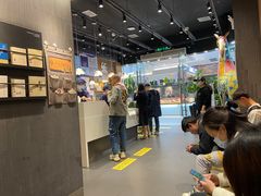 -茶颜悦色(银盆岭万达广场店)