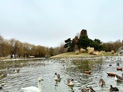 -北京野生动物园